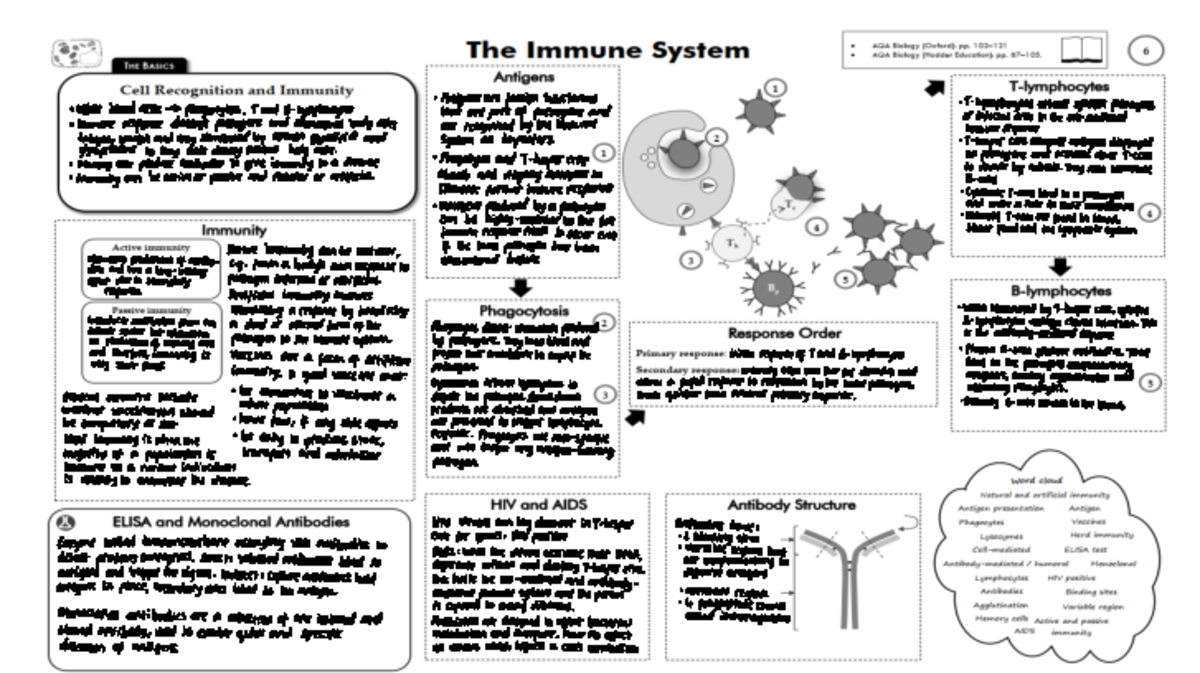 Immunity Overview: Key Concepts and Processes in Immunology - Studocu