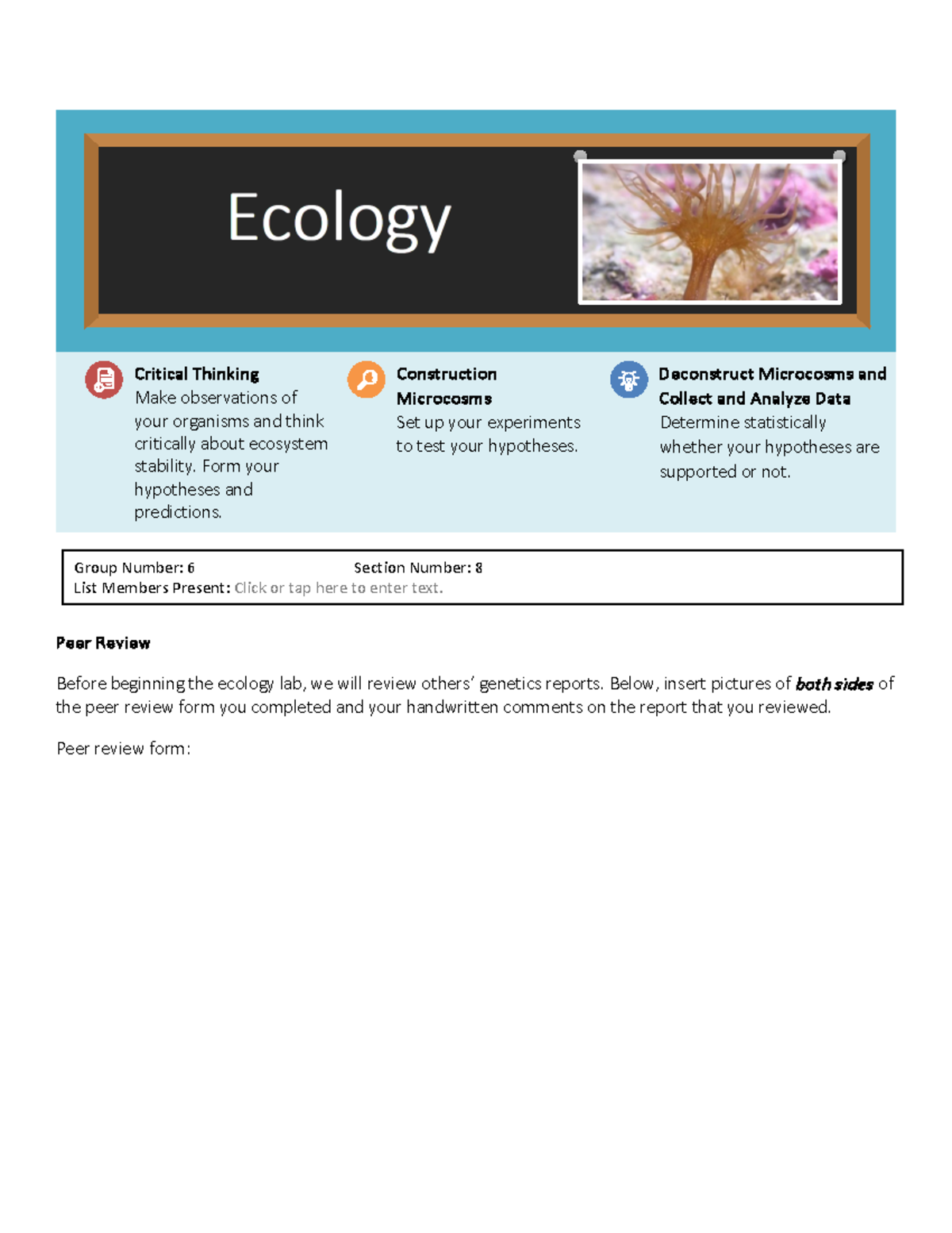 Ecology Worksheet: Analyzing Ecosystem Stability and Microcosm ...