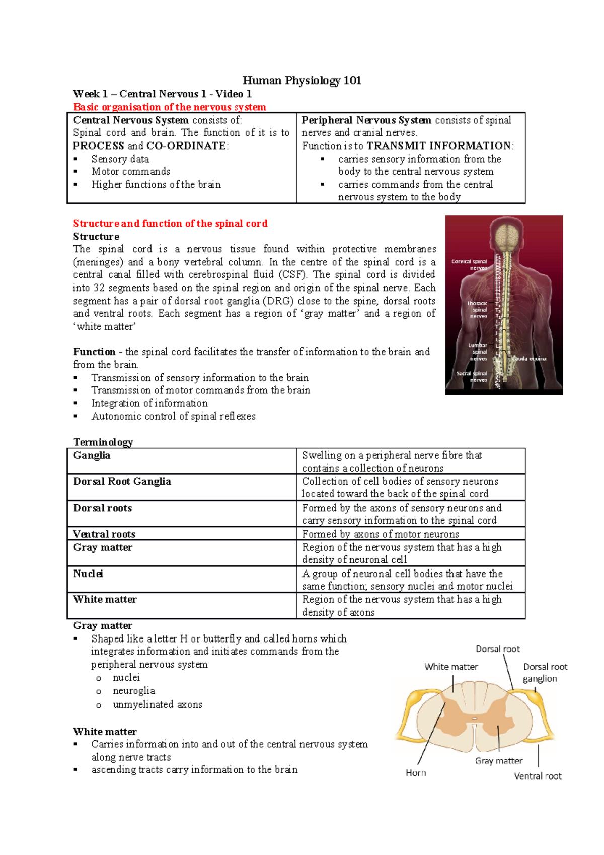 Human Physiology 101 - Week 1 & 2 Overview of Nervous System Functions ...