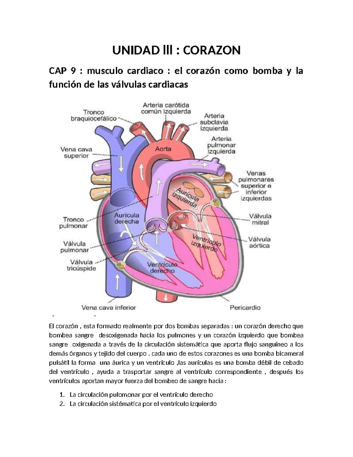 Resumen de corazon - UNIDAD lll : CORAZON CAP 9 : musculo cardiaco : el ...