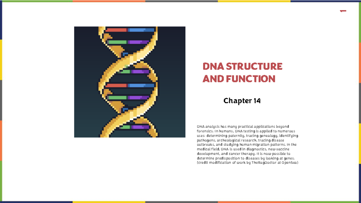 DNA Structure and Function: Key Concepts and Historical Insights ...