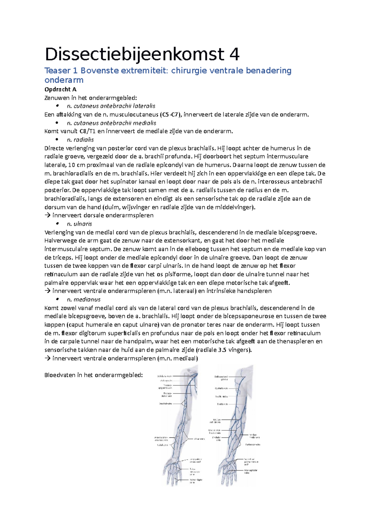 Dissectie Cursus: Onderarm en Onderbeen Anatomie & Technieken - Studeersnel