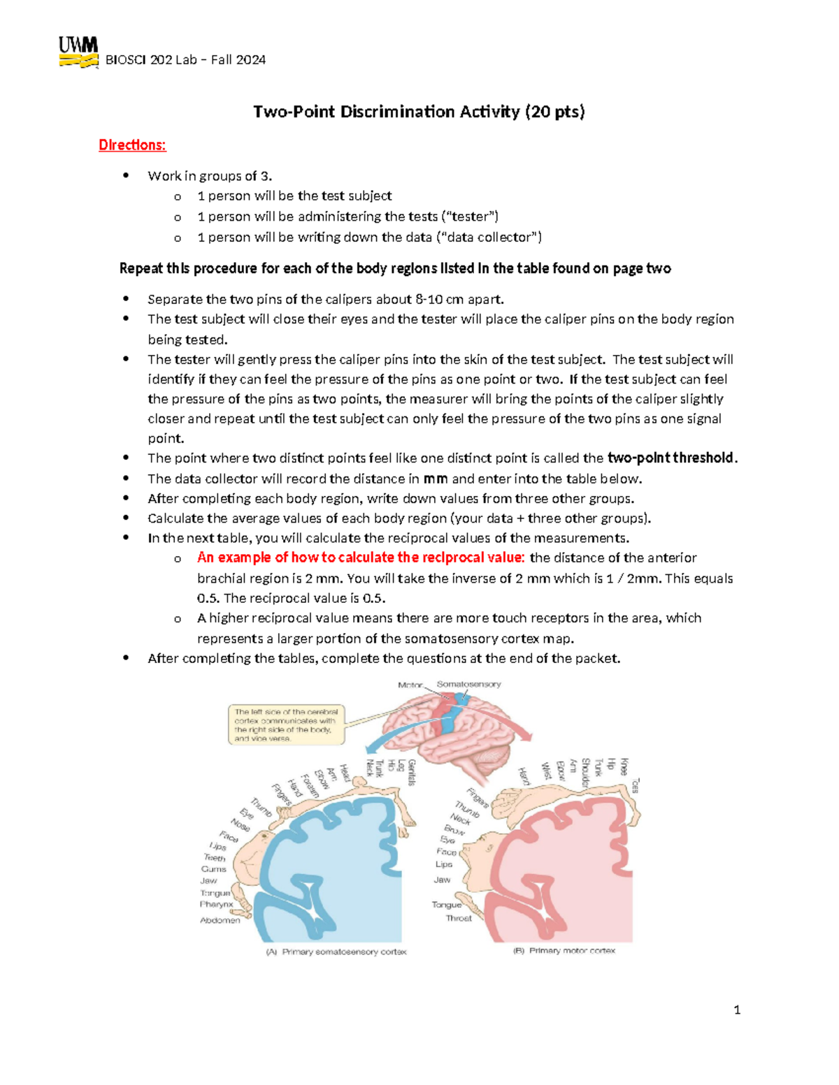 Two-Point Discrimination Activity - Lab Guide and Data Collection - Studocu