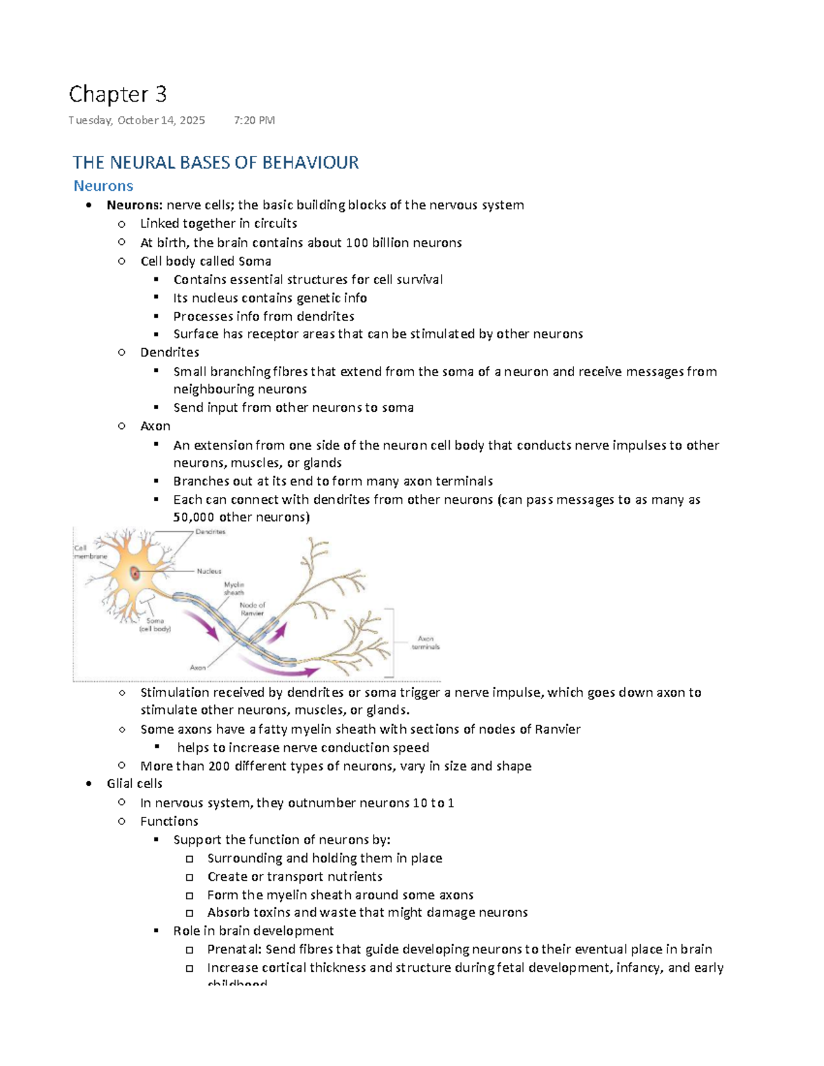 Chapter 3: The Neural Bases of Behaviour - PSYCH 1002A Textbook Notes ...