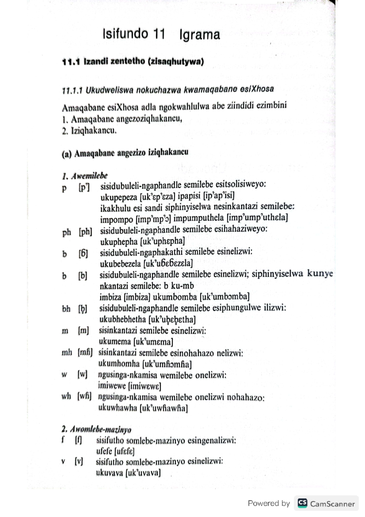 Isifundo 11: Igrama 11.1 - Izandi zentetho (Zisaqhutywa) 2024
