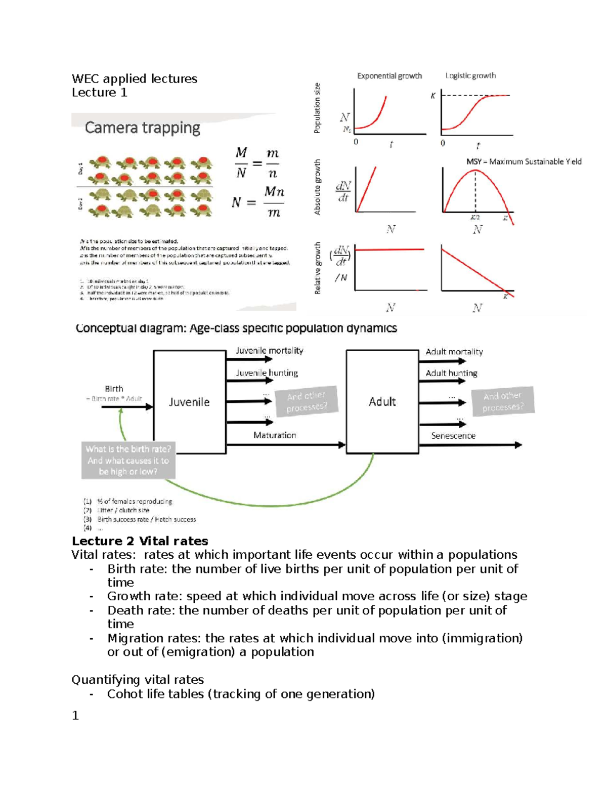WEC Applied Lectures: Vital Rates, Predation, and Thermoregulation ...