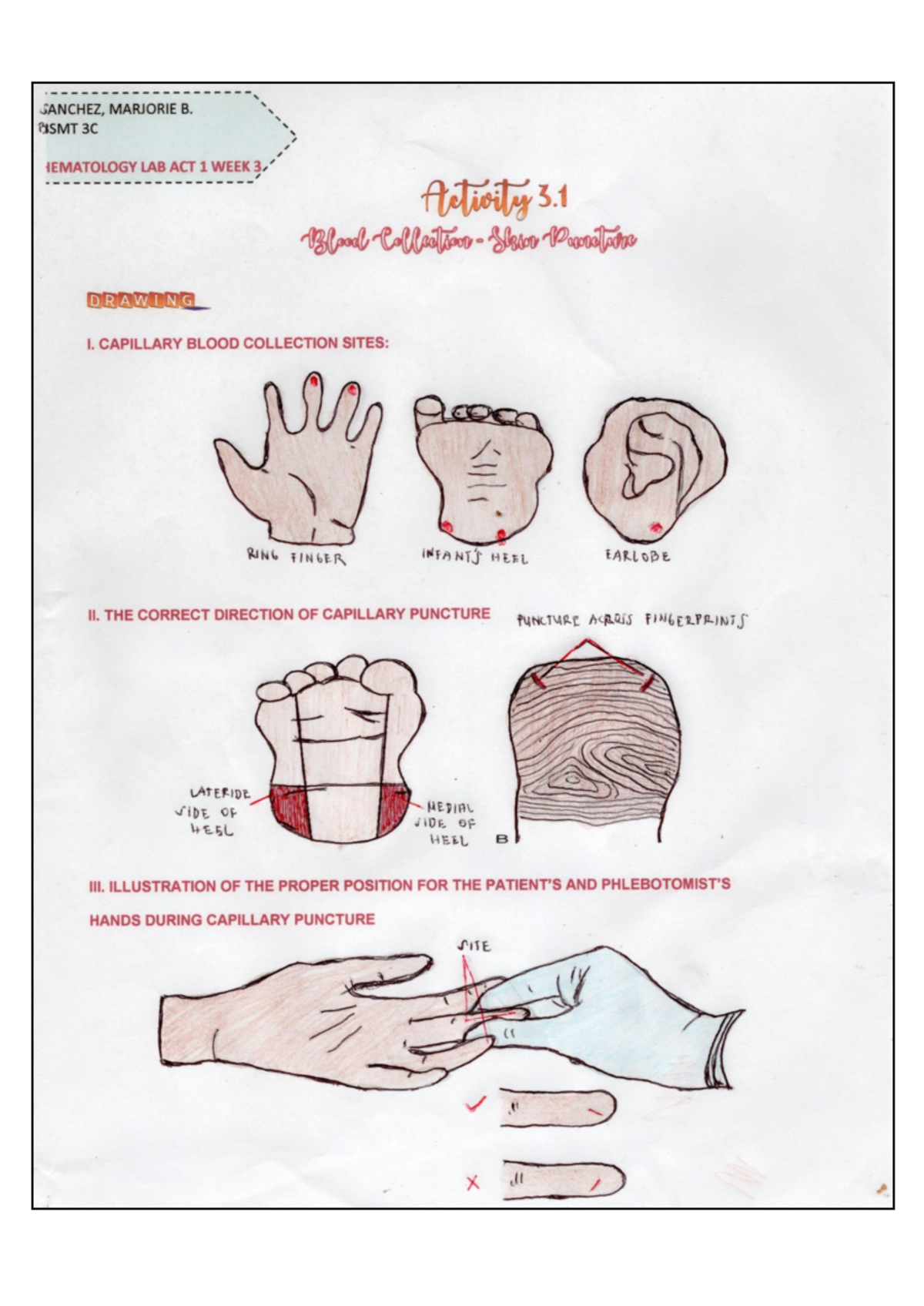 HEMATOLOGY LAB ACTIVITY 3.1 - QUESTIONS TO ANSWER: Skin punctures are ...