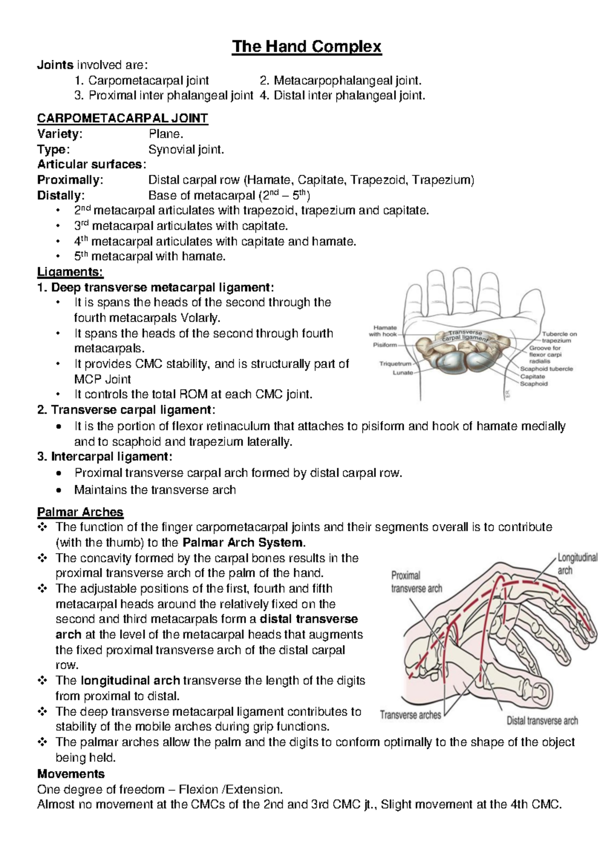 Hand Complex Biomechanics: Joints and Movements Overview - Studocu