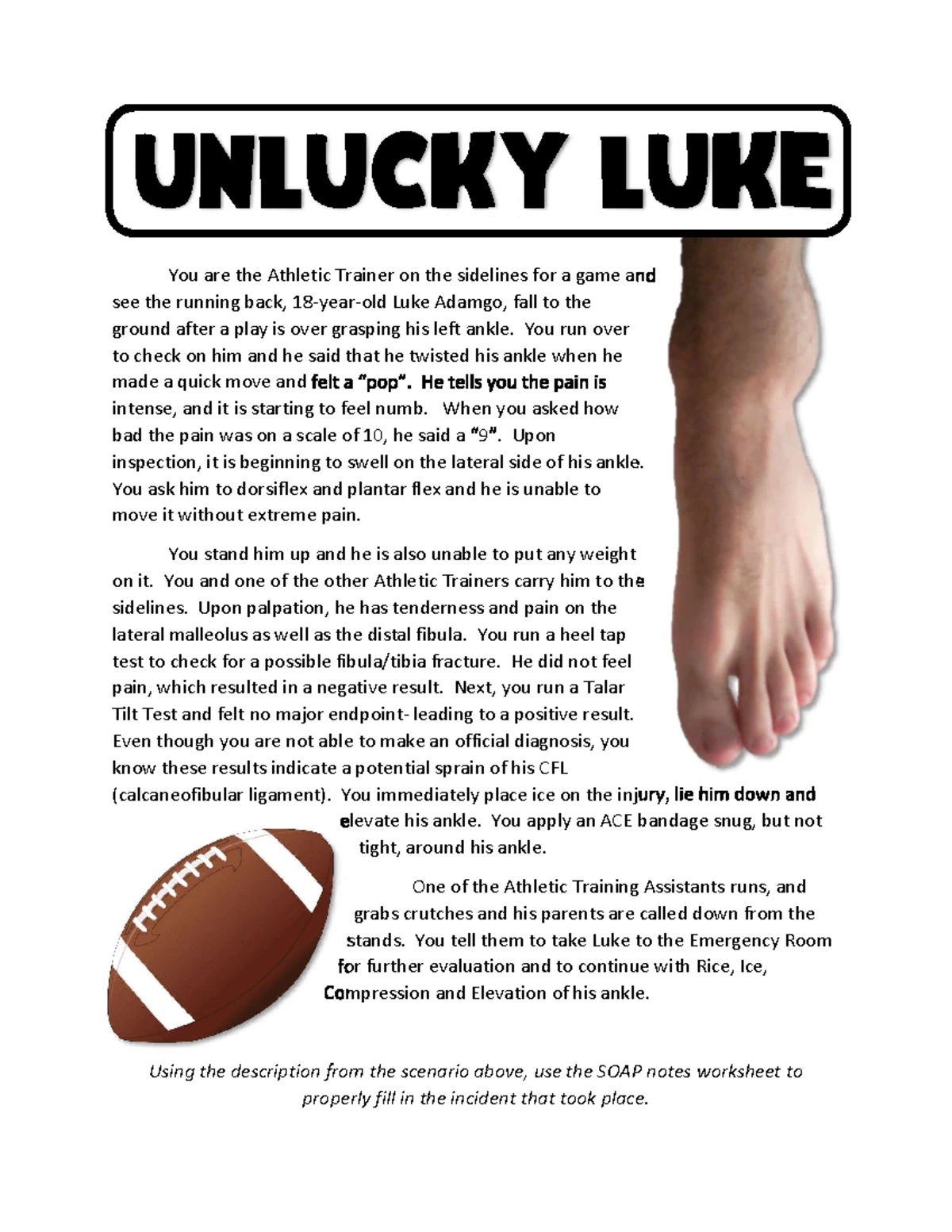 The Outsiders Character Chart KEY (Literature Study Guide) Studocu