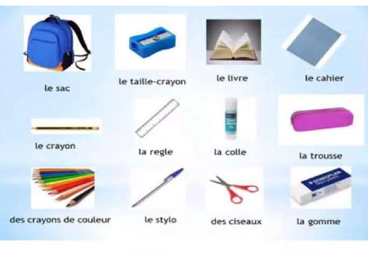 Basic French Pdf 1 - NOTES - French B SL - Studocu