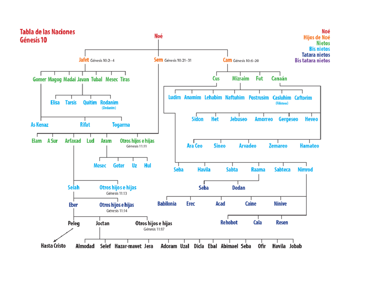 árbol Genealógico De Noé En La Biblia