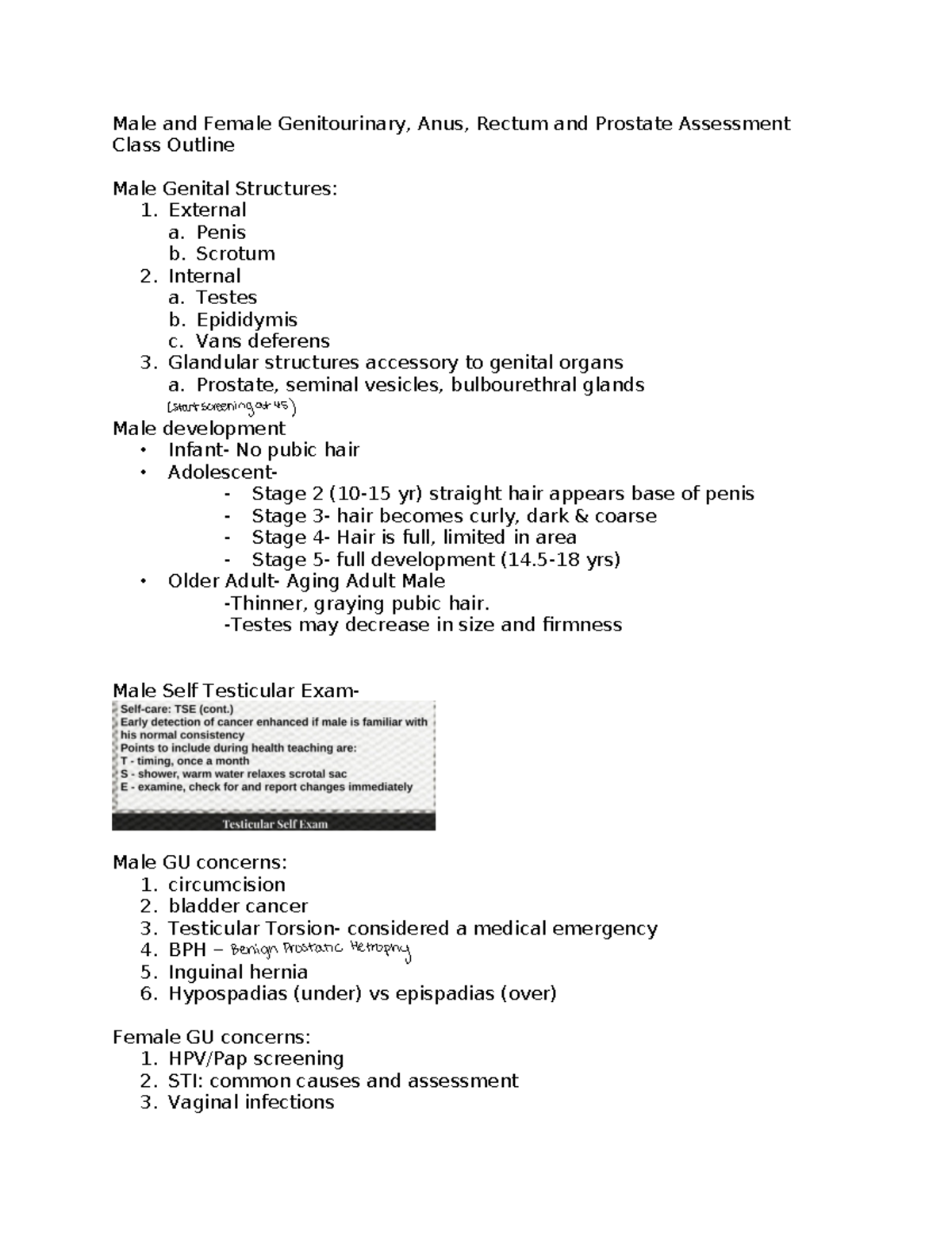 GU Assessment Outline: Male & Female Genitourinary Health - Studocu