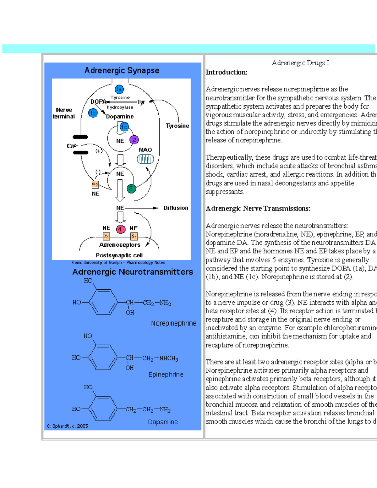 G-protein Coupled Receptors (GPCR) as Drug Targets Essay Example [1871  Words] | EssayWriter, image size:1200x1553