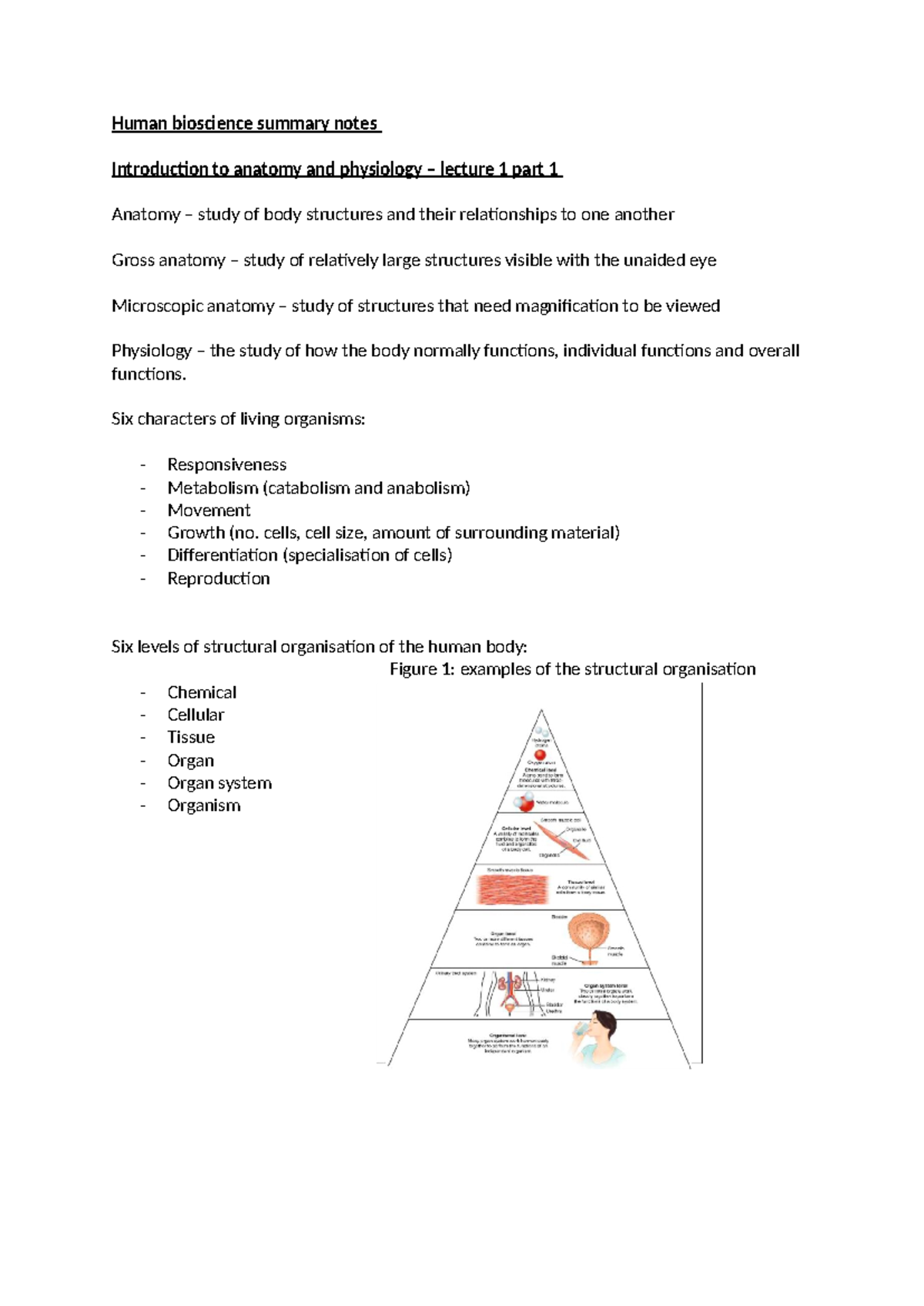 Human bioscience summary notes - Human bioscience summary notes ...