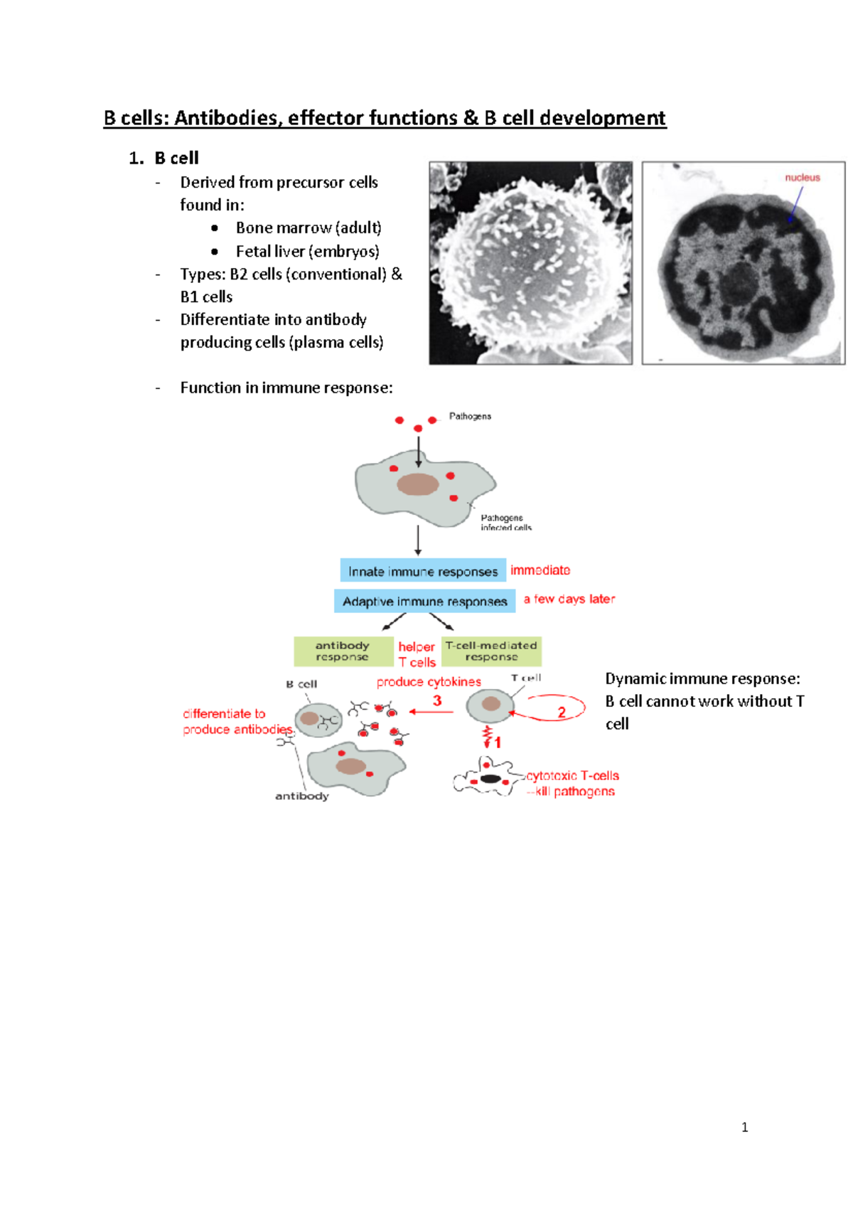小物  economics experiment 小物 economics experiment 小物 economics experiment HOME