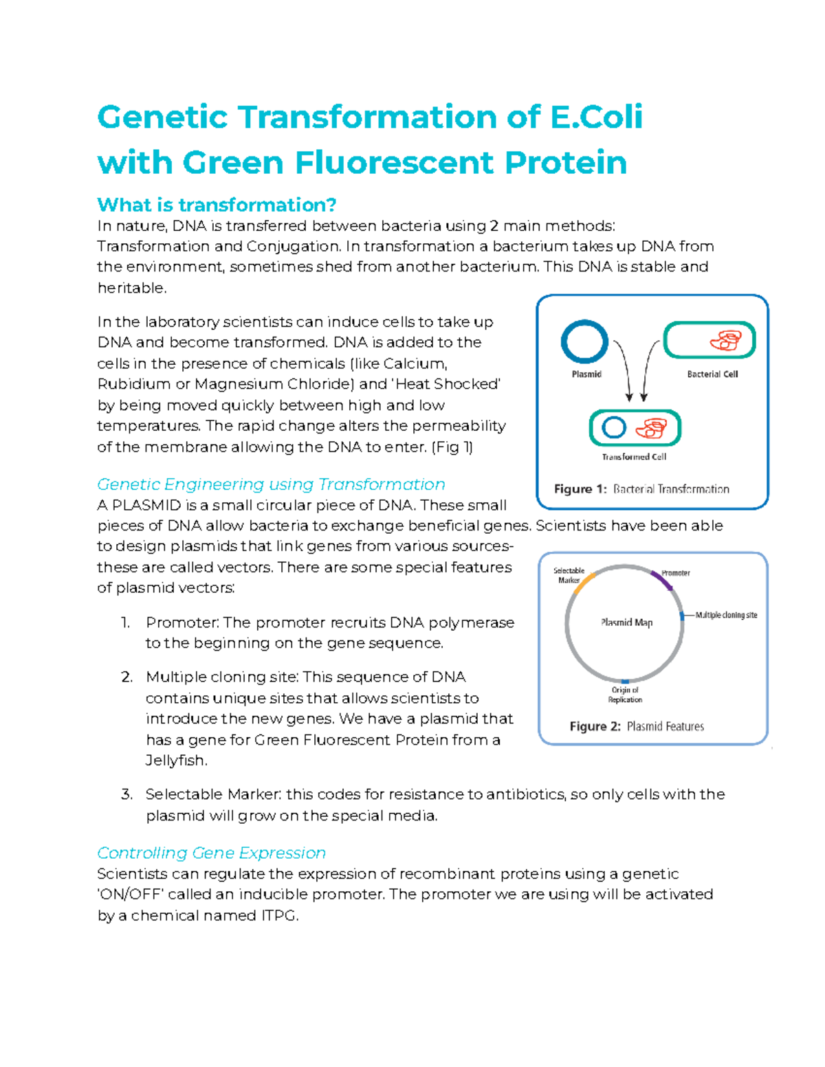 Genetic Transformation of E - In transformation a bacterium takes up ...