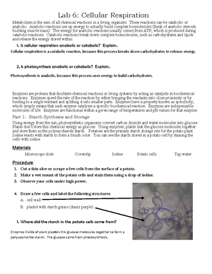 Bio Test 3 notes: cell cycle, meiosis, and genetic inheritance concepts ...
