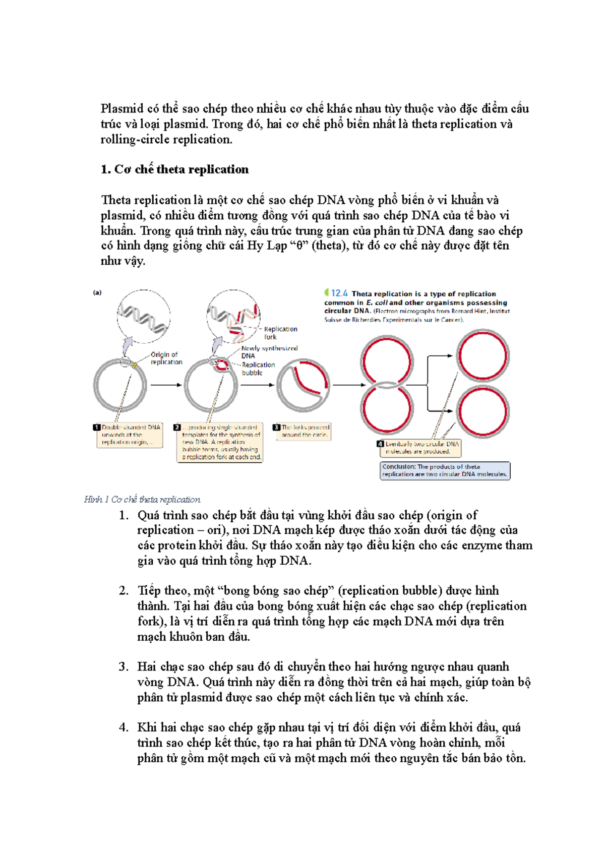 Cơ chế sao chép plasmid: Theta replication và đặc điểm cấu trúc - Studocu