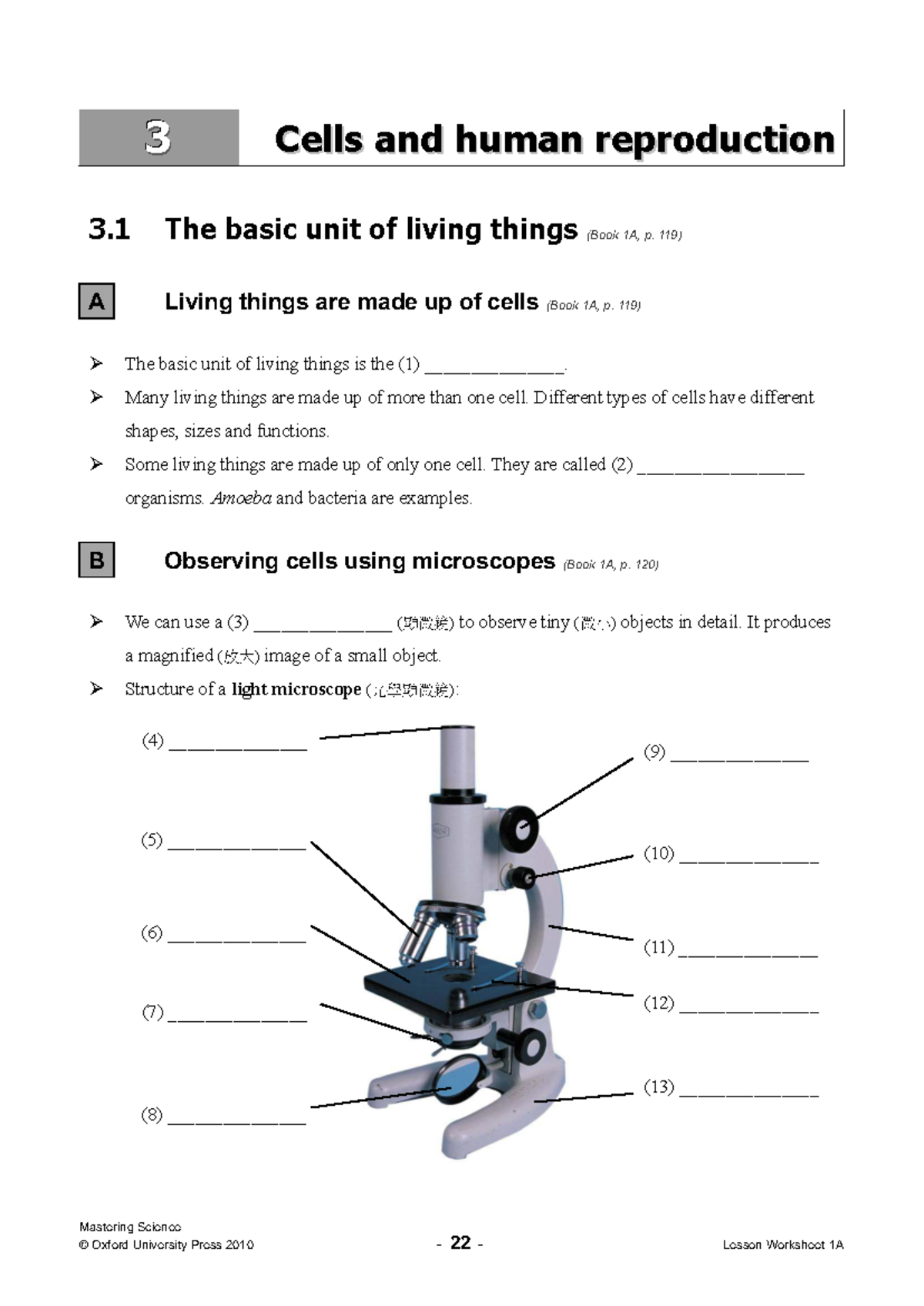 MSCI 03 Cells and Human Reproduction: Lesson Worksheet Overview - Studocu