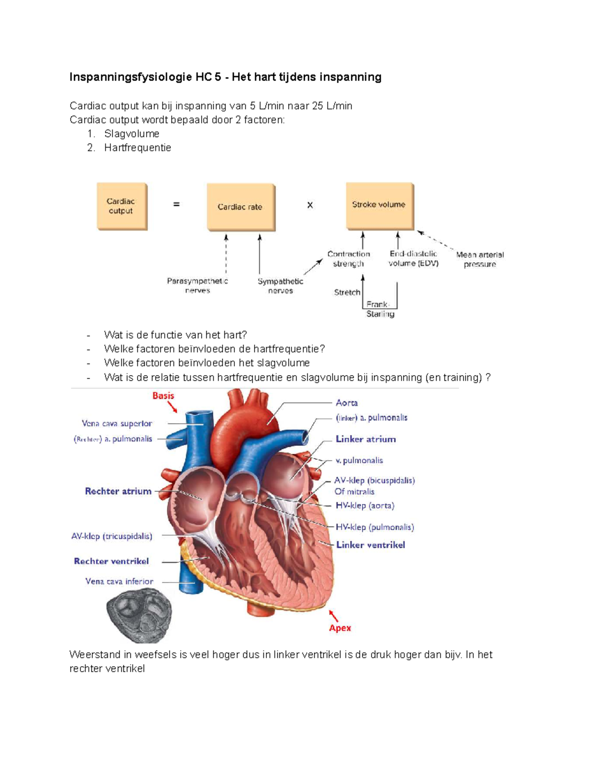 Inspanningsfysiologie HC 5: Het Hart en Cardiac Output tijdens ...