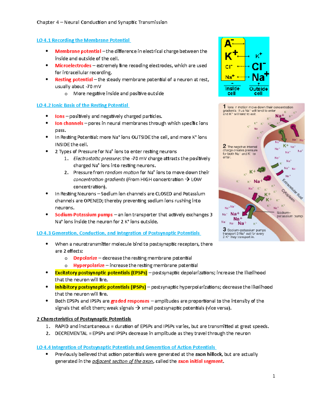 Ch. 4 - Neural Conduction & Synaptic Transmission Overview and Key ...