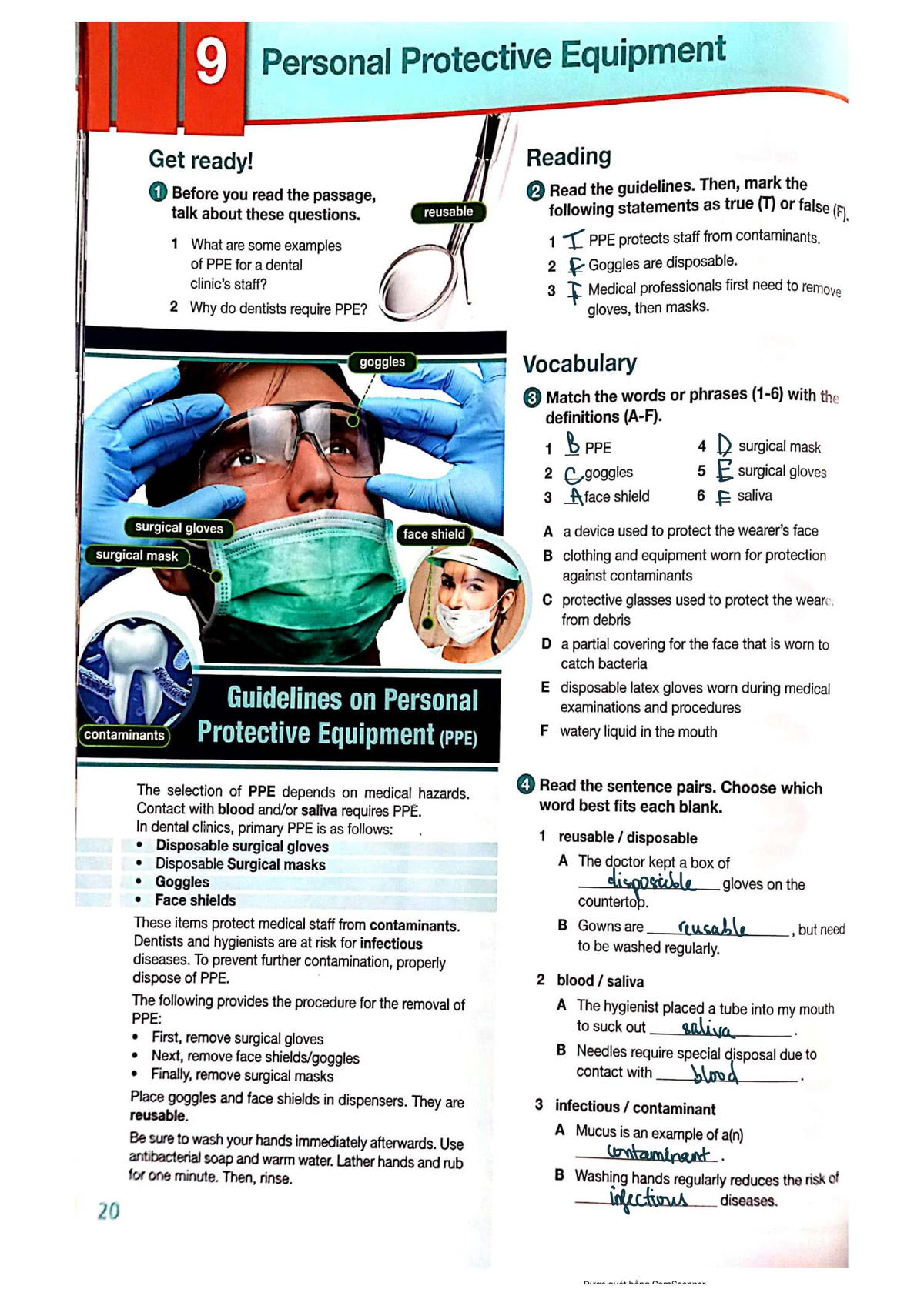Dentistry Book 1: Comprehensive Guide to Oral Health and Hygiene ...