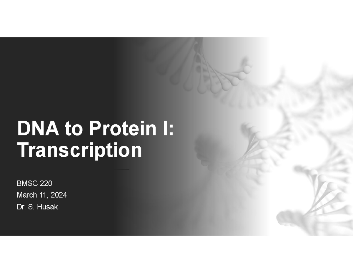 Lecture 16 DNA to Protein 1 BMSC 220 Winter 2025-1 - DNA to Protein I ...