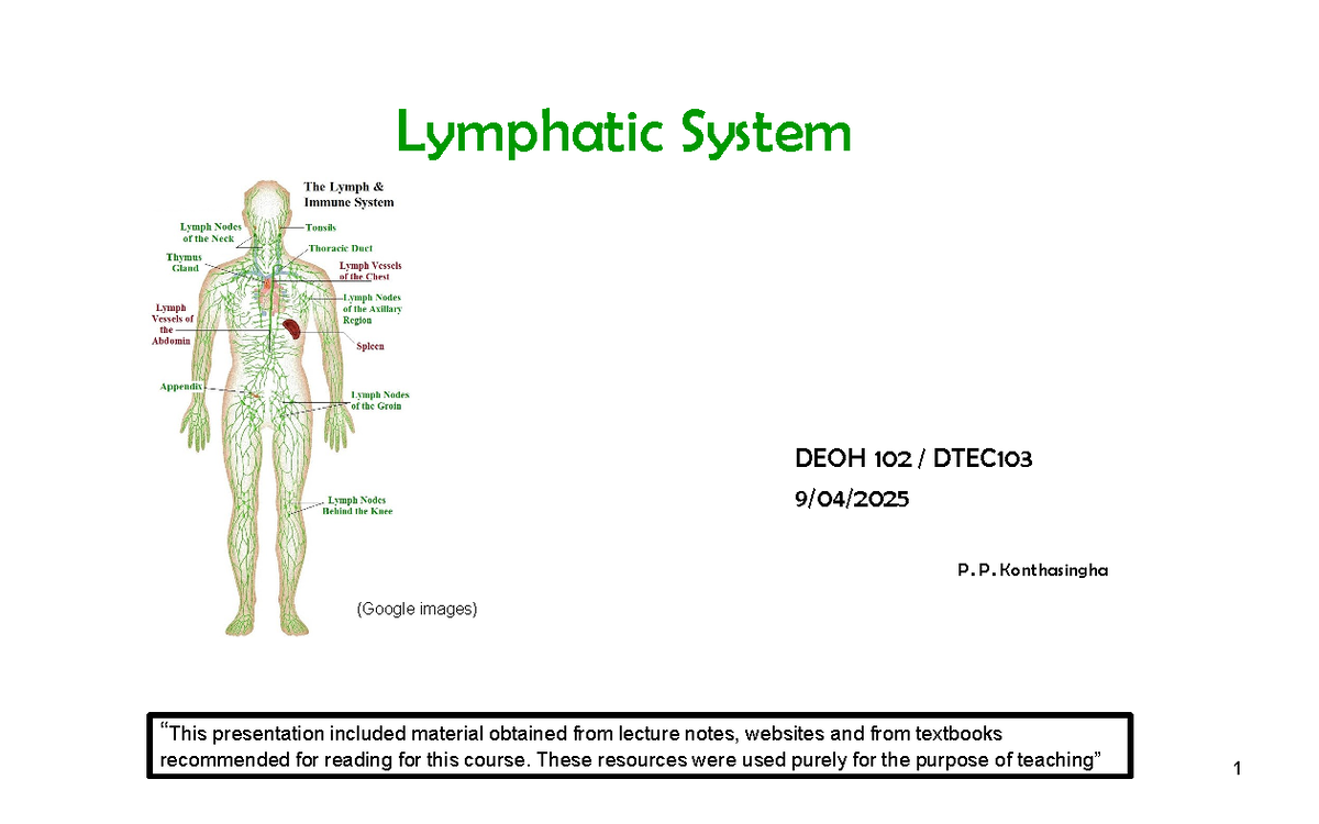 Lymphatic System Overview DEOH 102 DTEC 103 Lecture Notes - Studocu