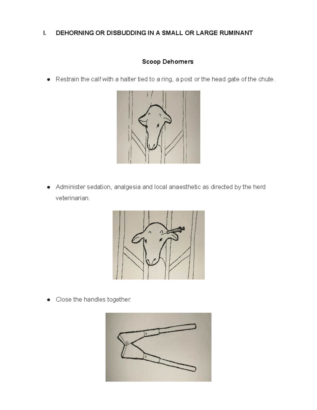 Añavesa P3 Long Quiz - Dehorning & Eartagging of Ruminants - Studocu