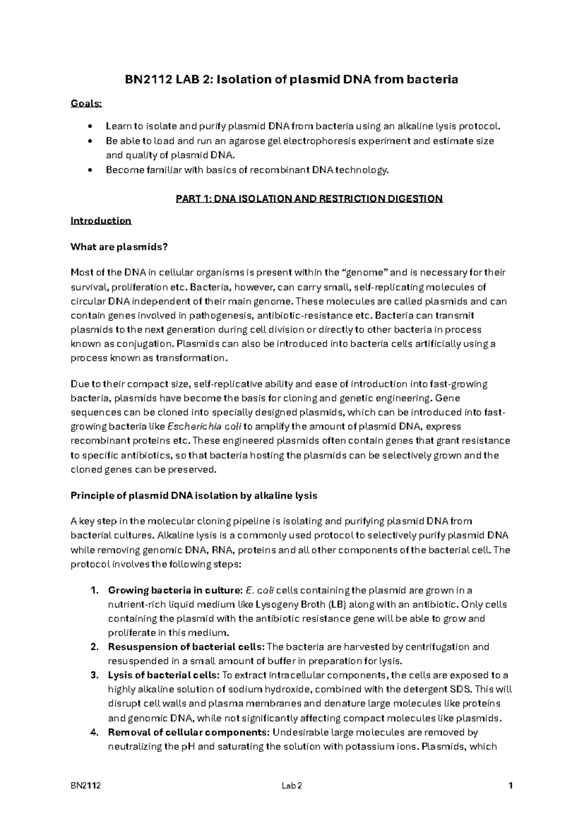 BN2112 Lab 2: Plasmid DNA Isolation & Gel Electrophoresis Guide - Studocu