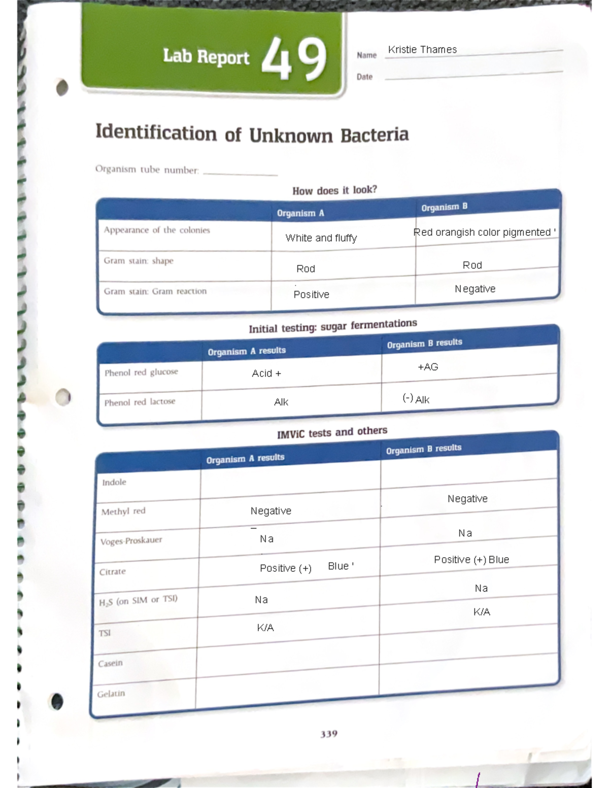 49 - Nursing - Lab Report Name Date Identification of Unknown Bacteria ...