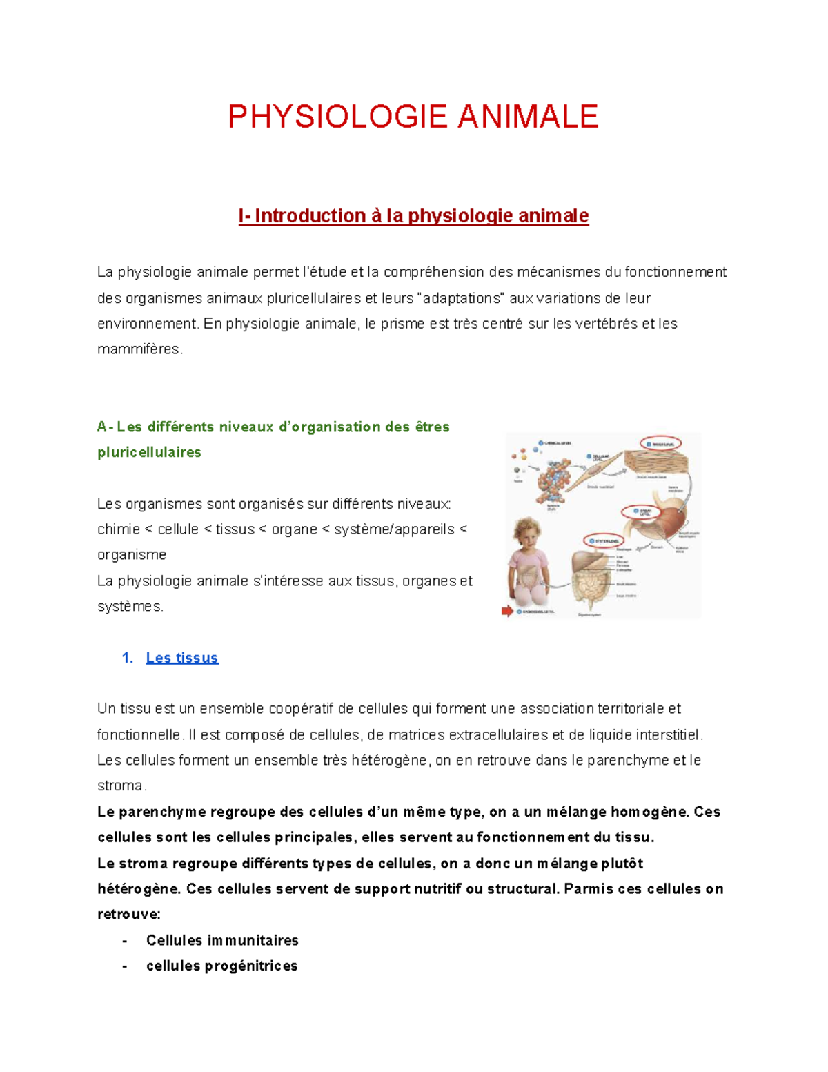 PHYSIOLOGIE ANIMALE: Niveaux d'Organisation et Fonctionnement ...