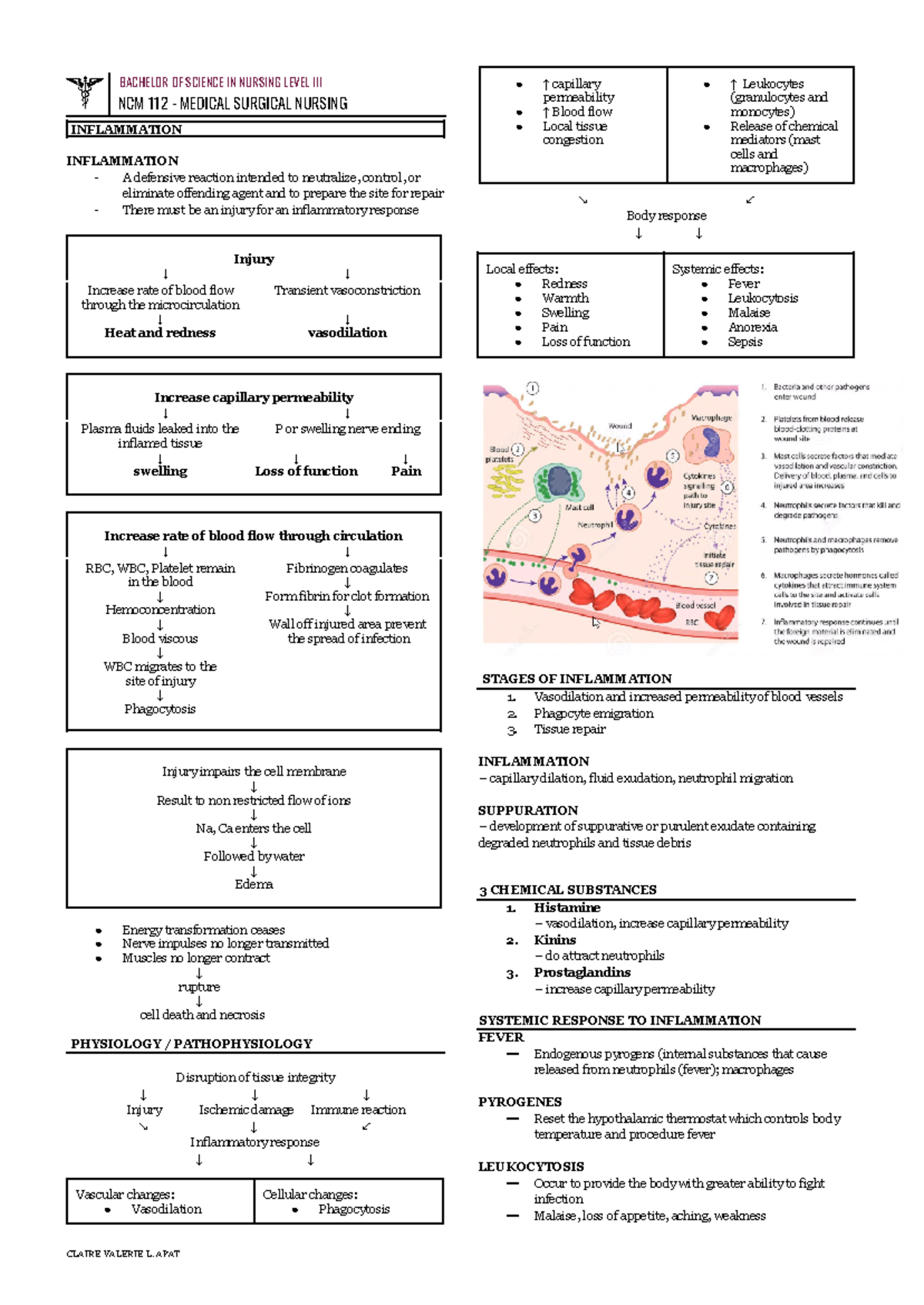 NCM 112 Medical Surgical Nursing Semi-Final Study Notes - Studocu