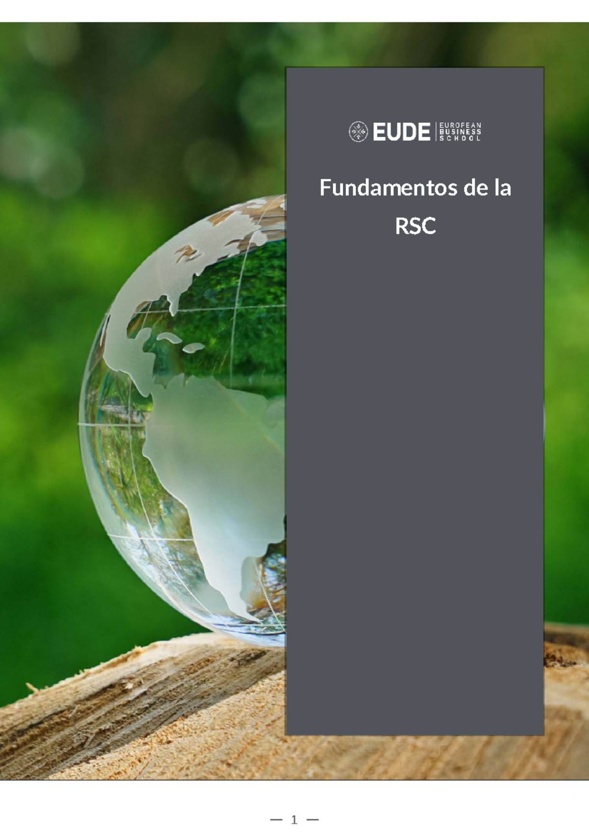 Fundamentos de la RSC: Conceptos y Estrategias Clave - Studocu