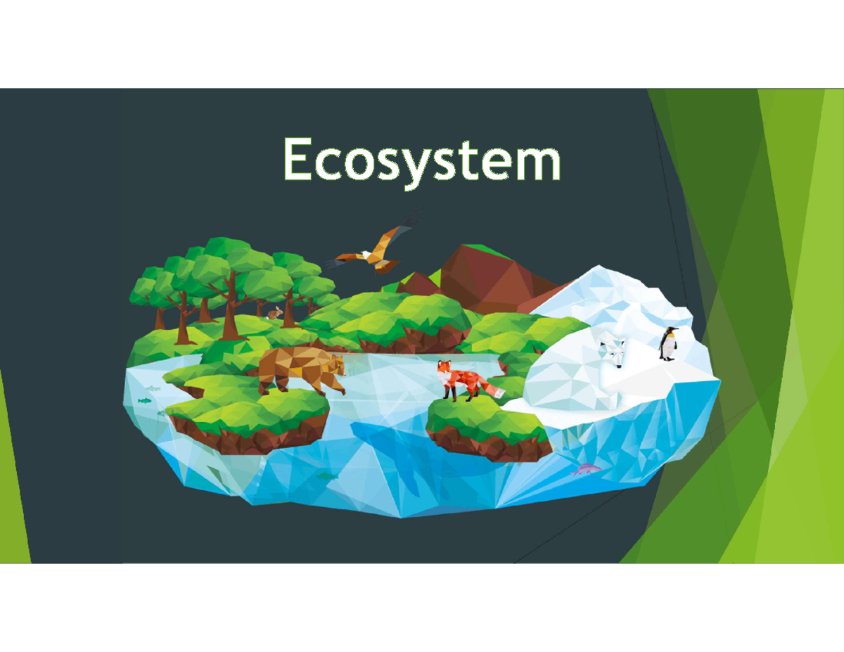 Ecosystem Overview: Features, Properties, and Energy Flow Insights ...
