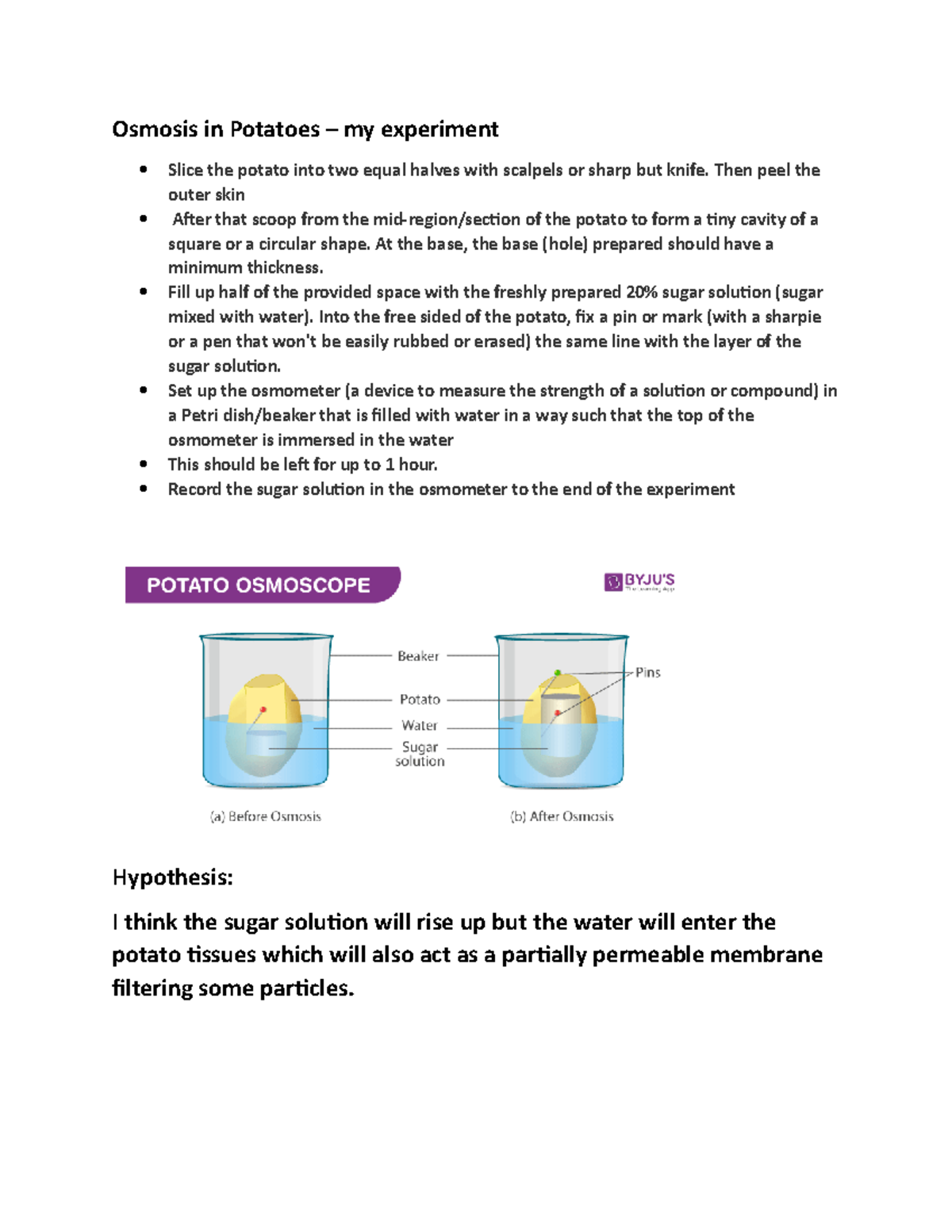 Osmosis In Potatoes Experiment Osmosis Potato Experiment By The