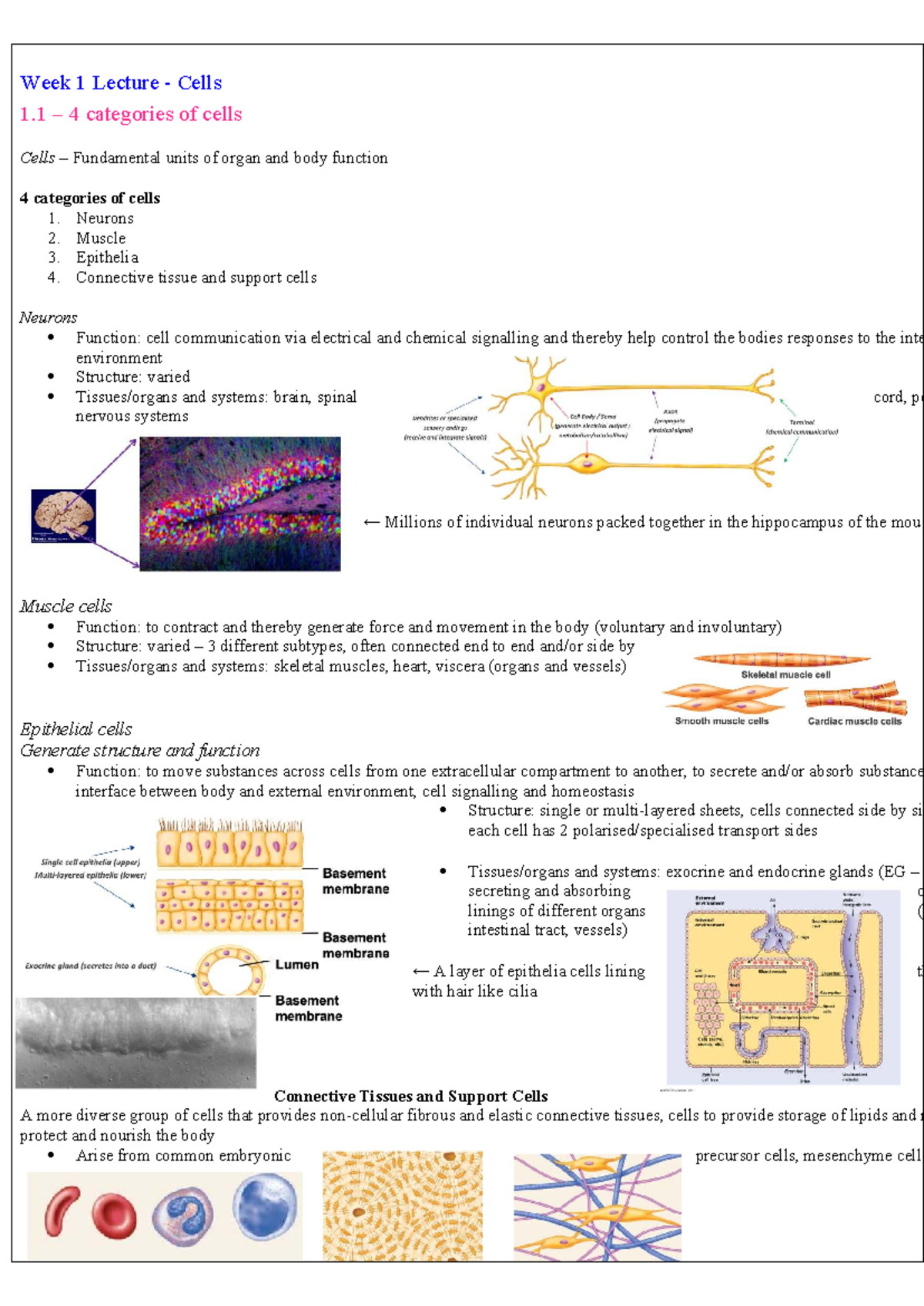 Week 1 and 2 lecture notes on cell physiology and action potentials ...