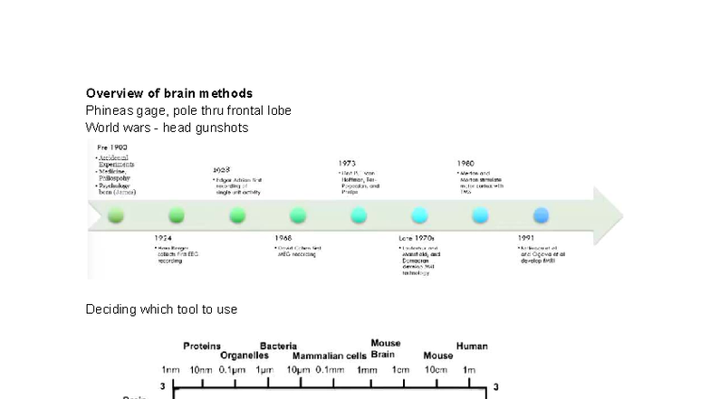 BRAIN MEASURES NOTES: Overview of Neural Methods and Techniques - Studocu
