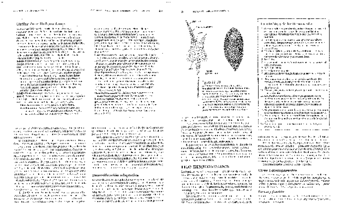Zoología Integral de Hickman - Capítulo 22: Equinodermos y Hemicordados