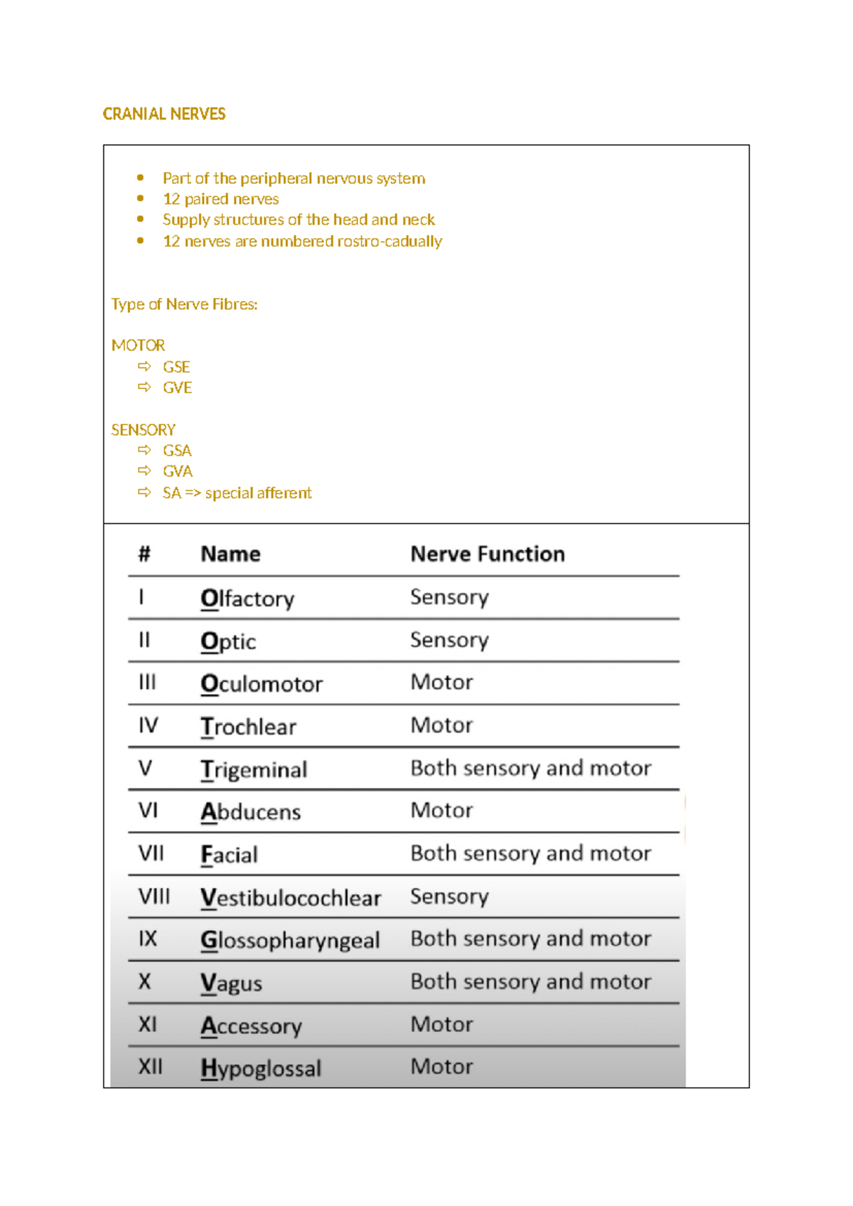 Week 7 + 8 AUN Notes - CRANIAL NERVES Part of the peripheral nervous ...