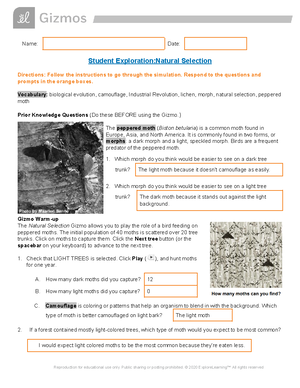 Solved What Happens During The Transitional Stage Of The Demographic Environmental Science