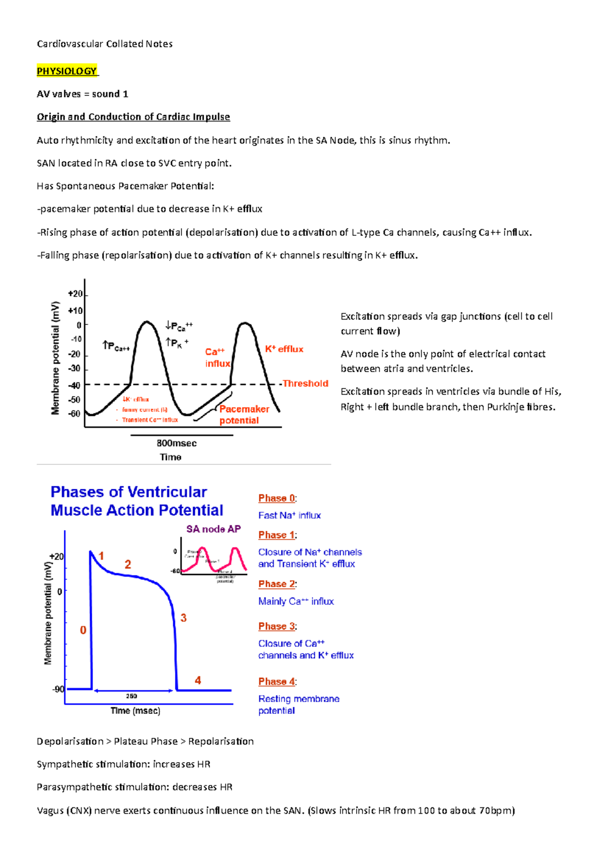 Cardiovascular Physiology Notes (PHYSIOLOGY) - Key Concepts ...