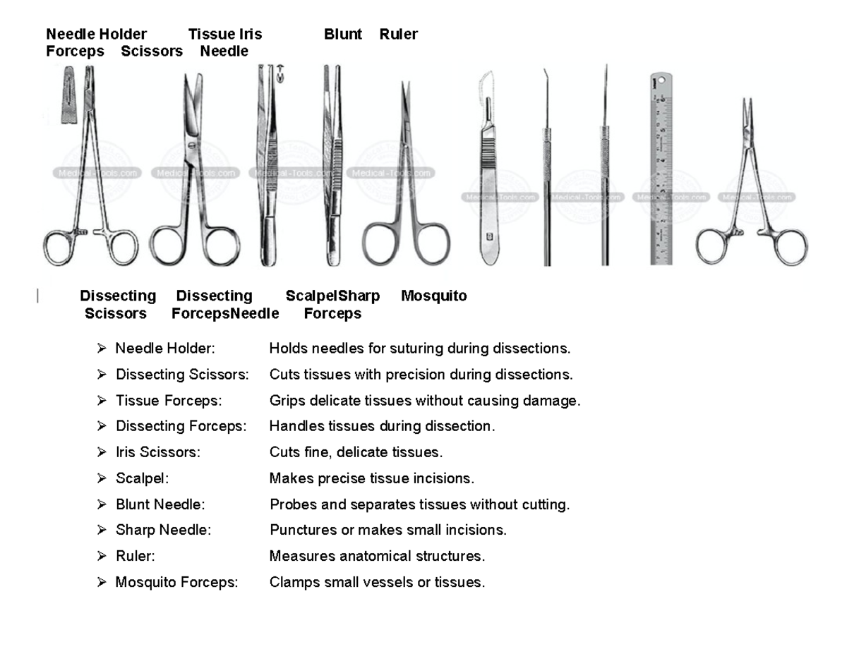 Dissecting Tools used in informatics and lab - Needle Holder: Holds ...