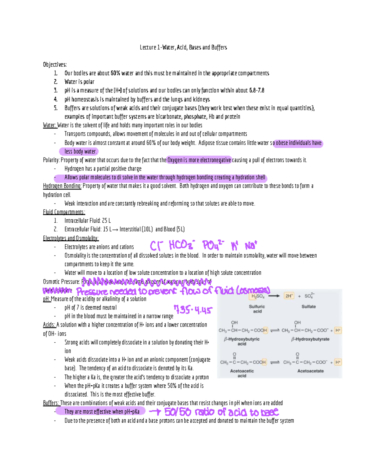 Biochem 2023 Final Exam Study Guide: Acids, Bases, and Buffers - Studocu