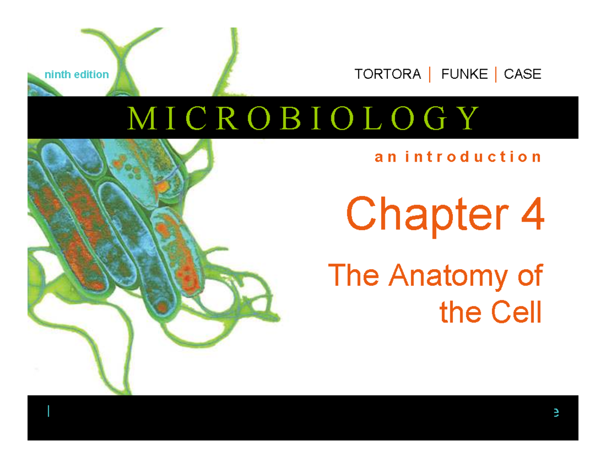 Microbiology 101: Chapter 4 - Anatomy of the Cell Lecture Slides - Studocu