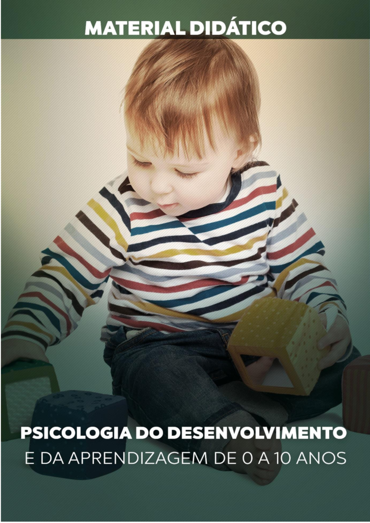 Psicologia do Desenvolvimento e Aprendizagem Infantil: DA 0 aos 10 Anos ...