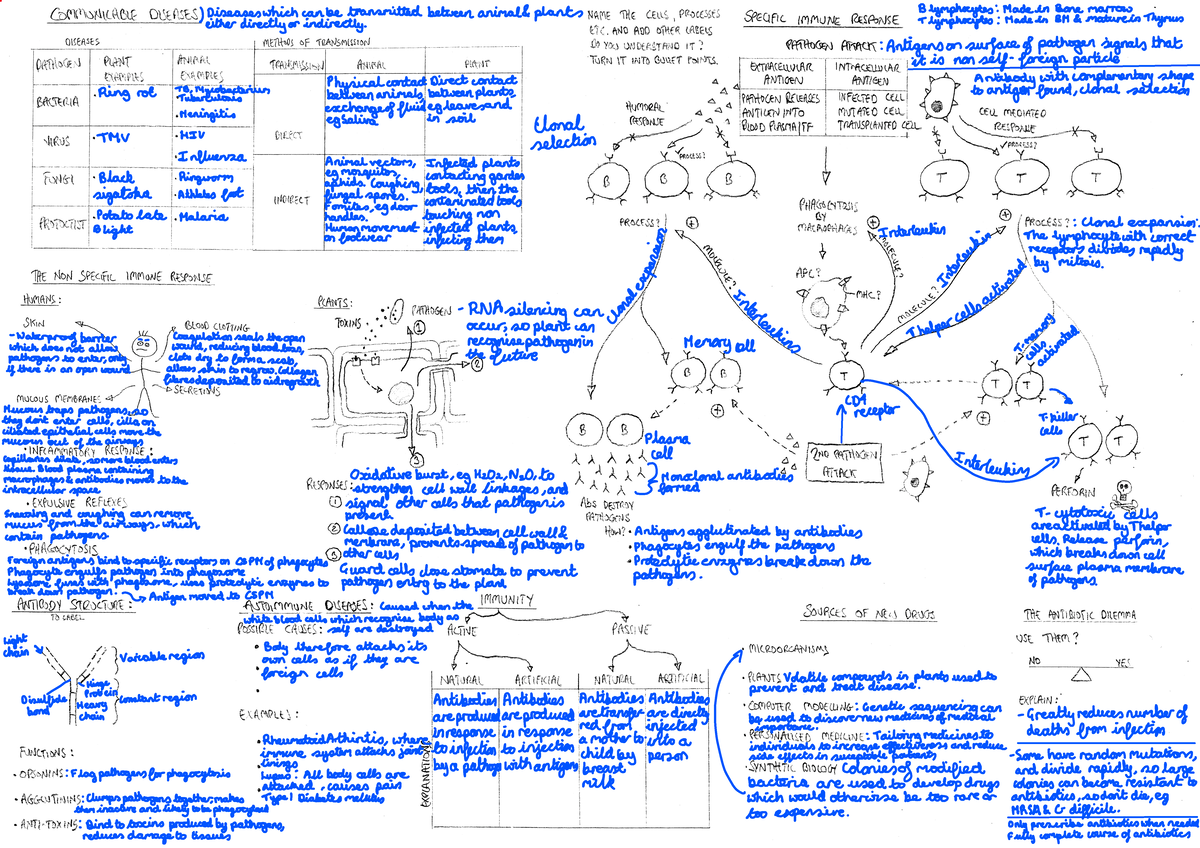 15. Communicable Diseases A3 Revision Notes for Immunology and ...