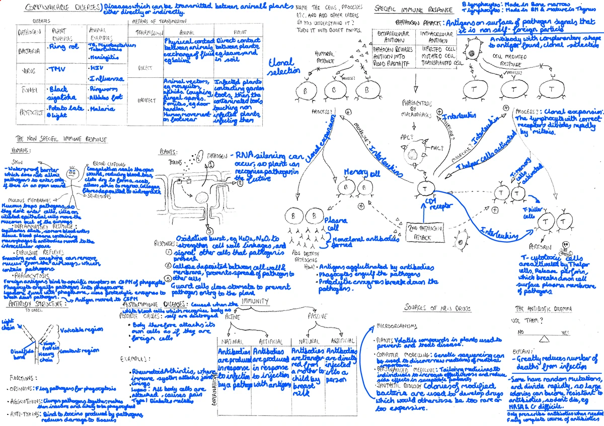 17. Classification and Evolution A3 Revision Sheet for Exam Preparation ...