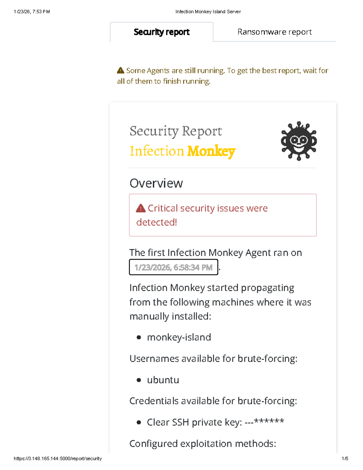 Infection Monkey Island Server Security Report: Ransomware Findings ...