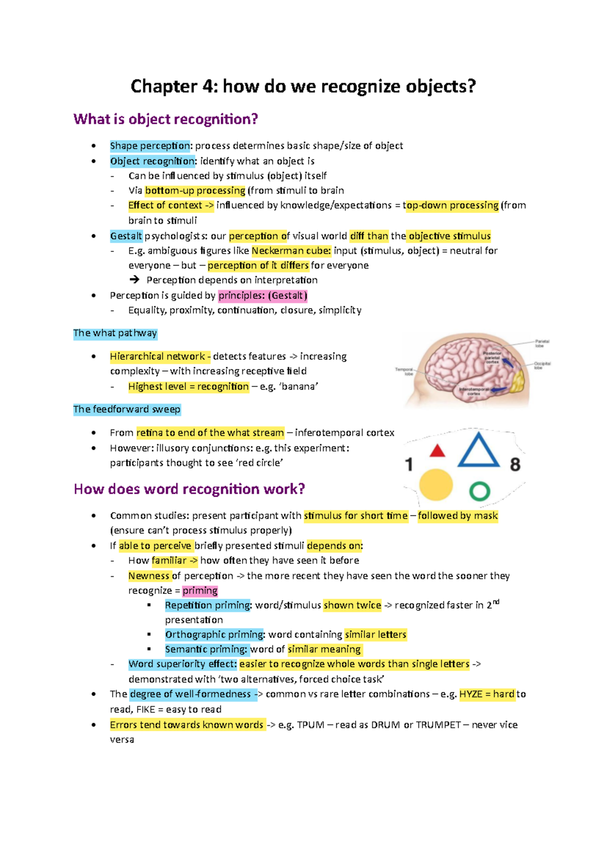 Chapter 4: Object Recognition and Shape Perception Insights - Studeersnel